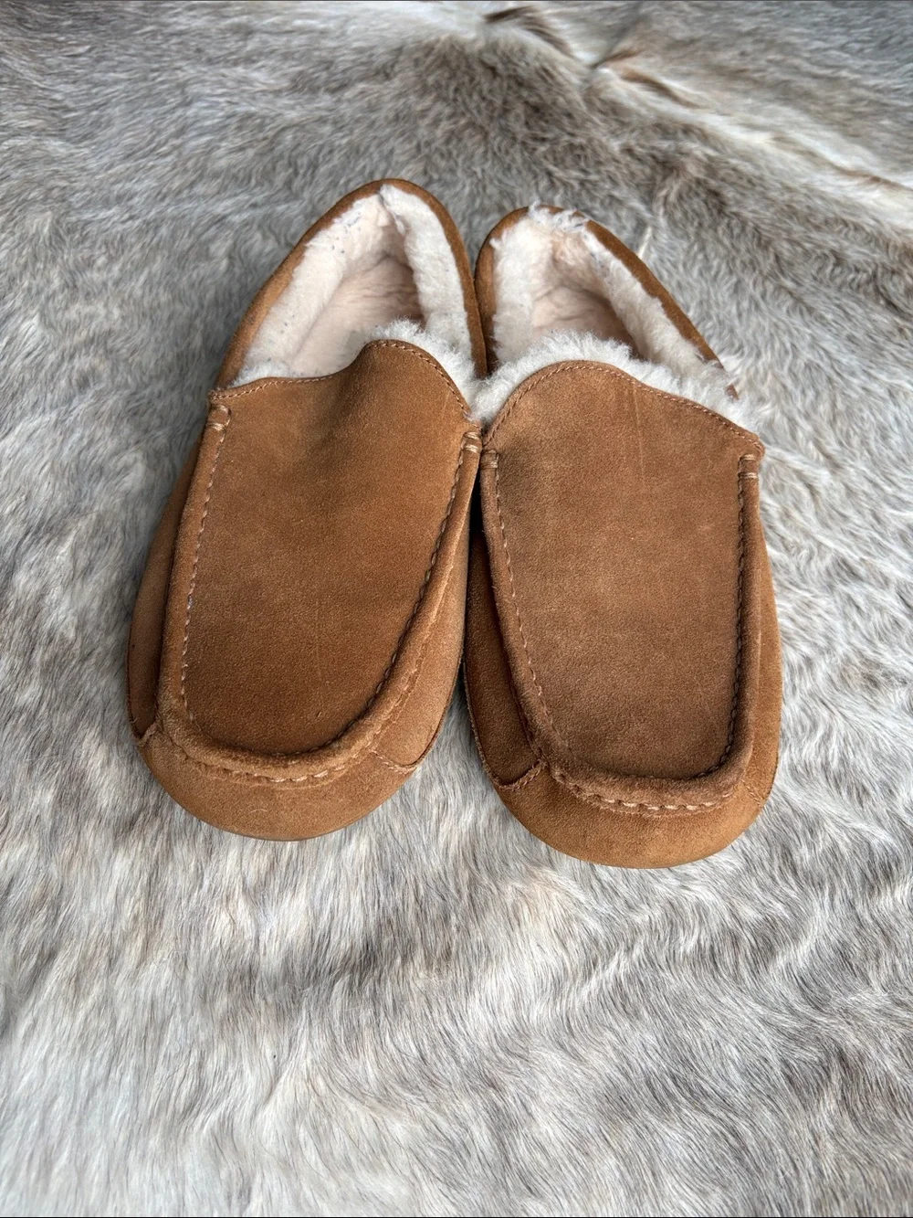UGG nwot size